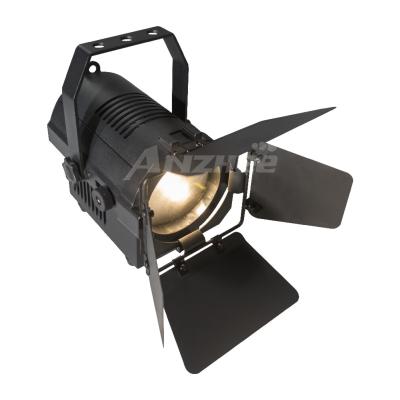 Anzhee Fresnel 40 ZOOM (5600К)